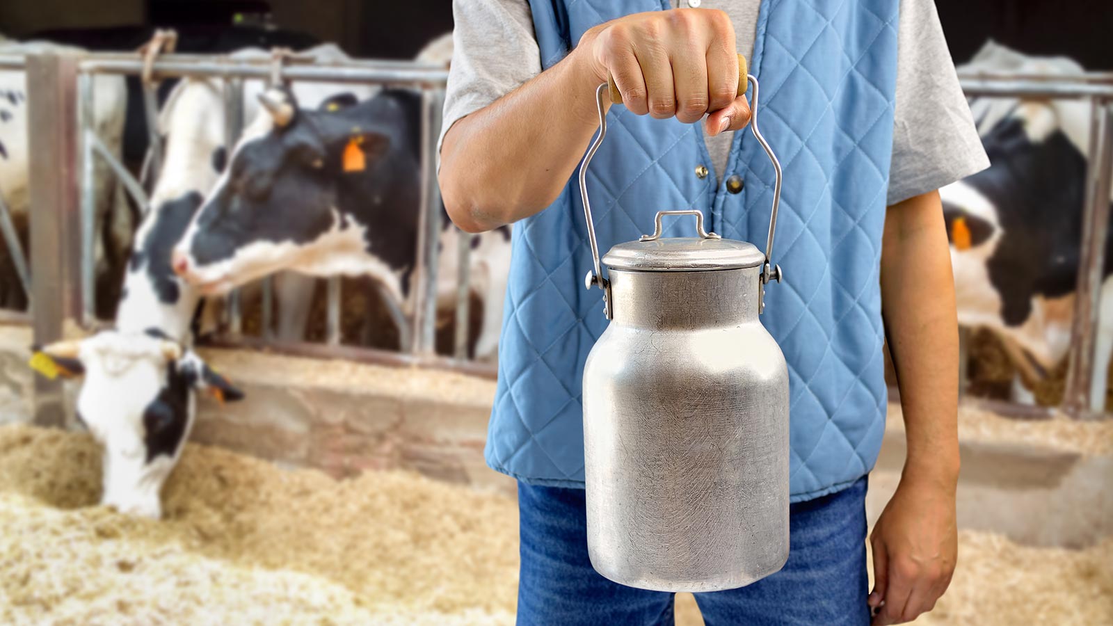 Venta directa alimentos